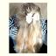 Picture of Bella's Bows 3.5" Grosgrain Knot - Cream