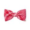 Picture of A Dee Love Story Leighton Check Bow Hair Clip - Vibrant Red