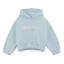 Picture of Bonini by A* Dee Aspire Logo Hoodie - Sky Blue