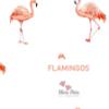 Picture of Meia Pata Girls Flamingos Barbados Swimsuit - White Flamingo