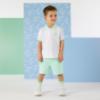 Picture of Mitch & Son Oakland Pocket Detail Polo Set X 2 -  Miami Mint